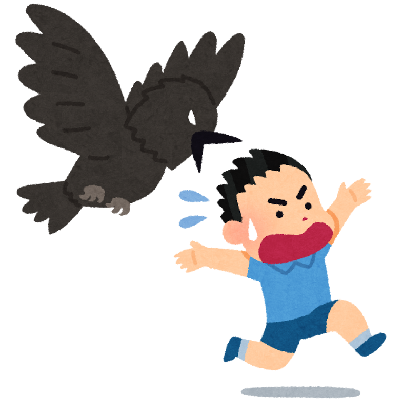 Illustration: A crow in flight chases a frightened boy.