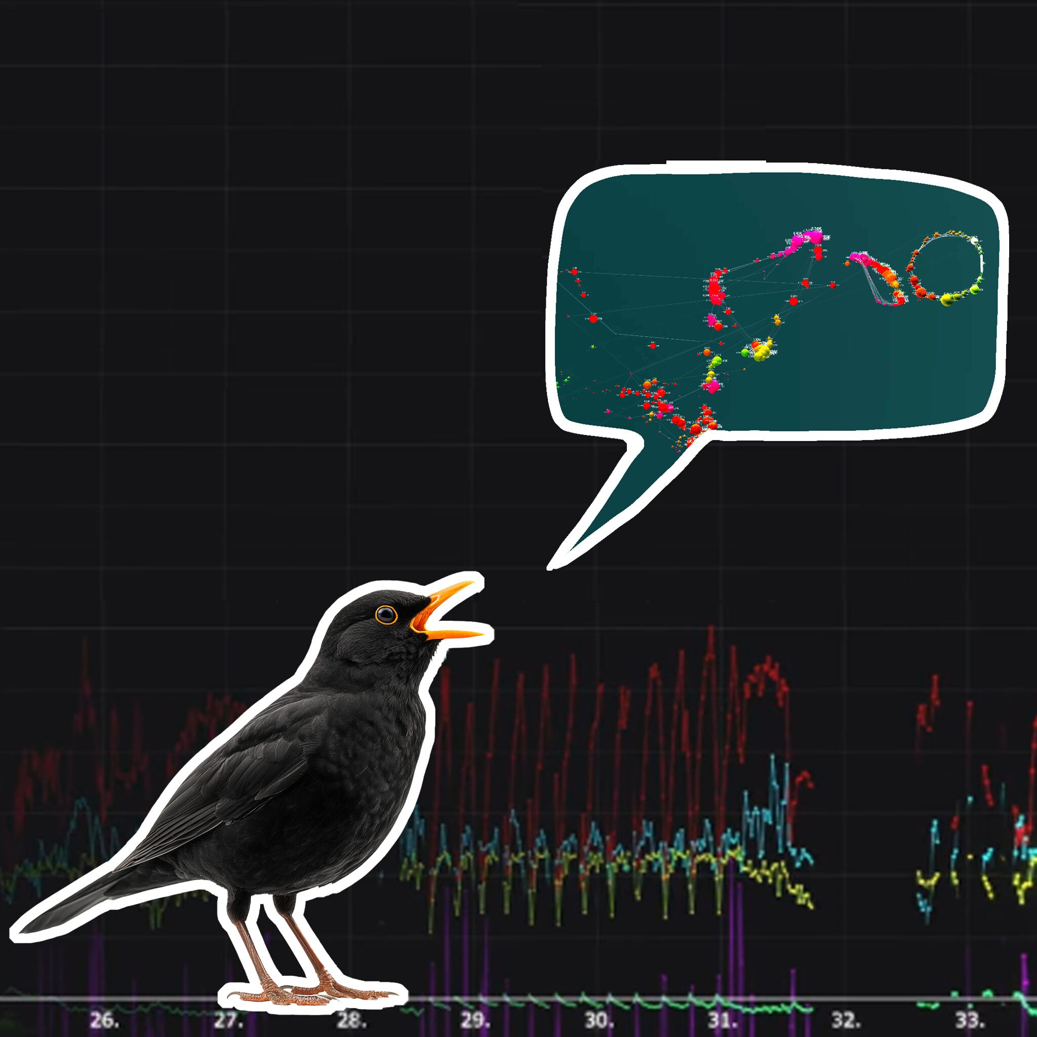 Visualizing Birdsong